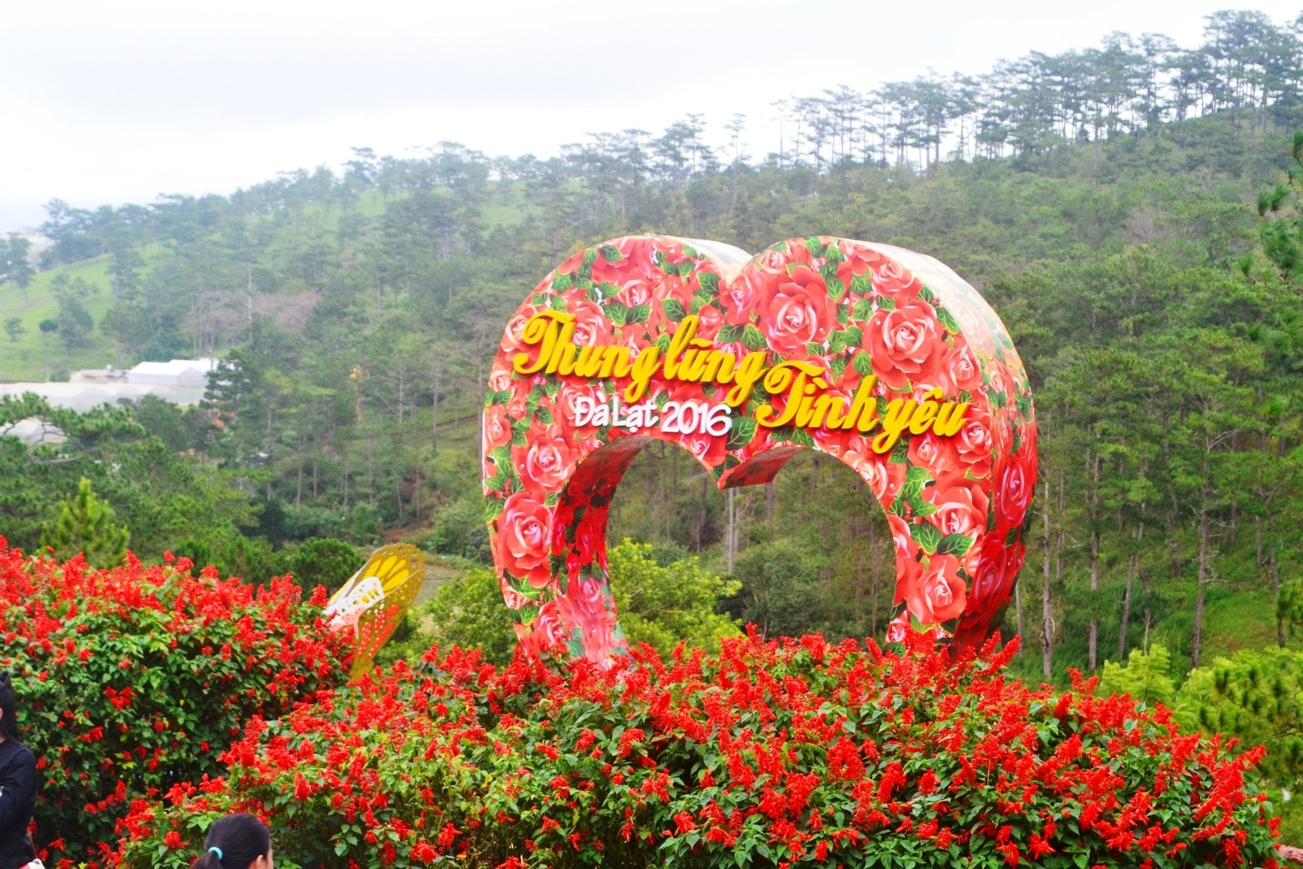 Can le, phong nghi o Da Lat van e he hinh anh