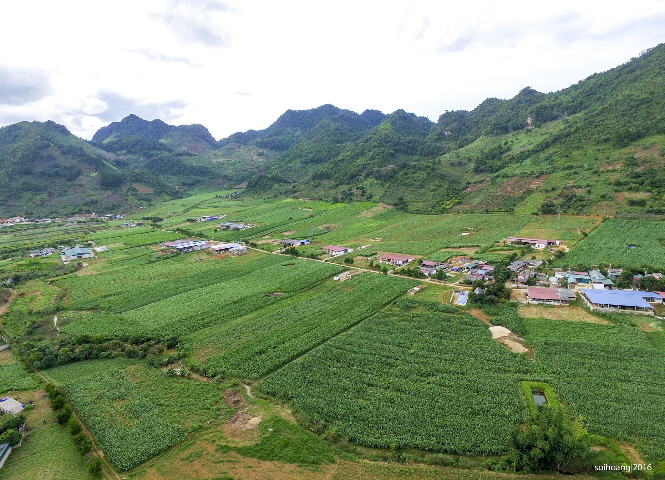 Khinh khí cầu Mộc Châu ảnh 5 Khinh khi cau Moc Chau anh 5