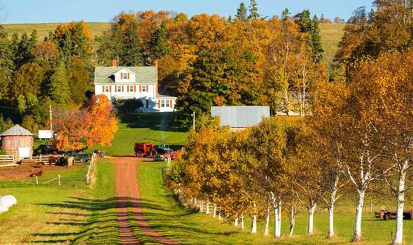 Khám phá Canada vào thu ảnh 1 Kham pha Canada vao thu anh 1