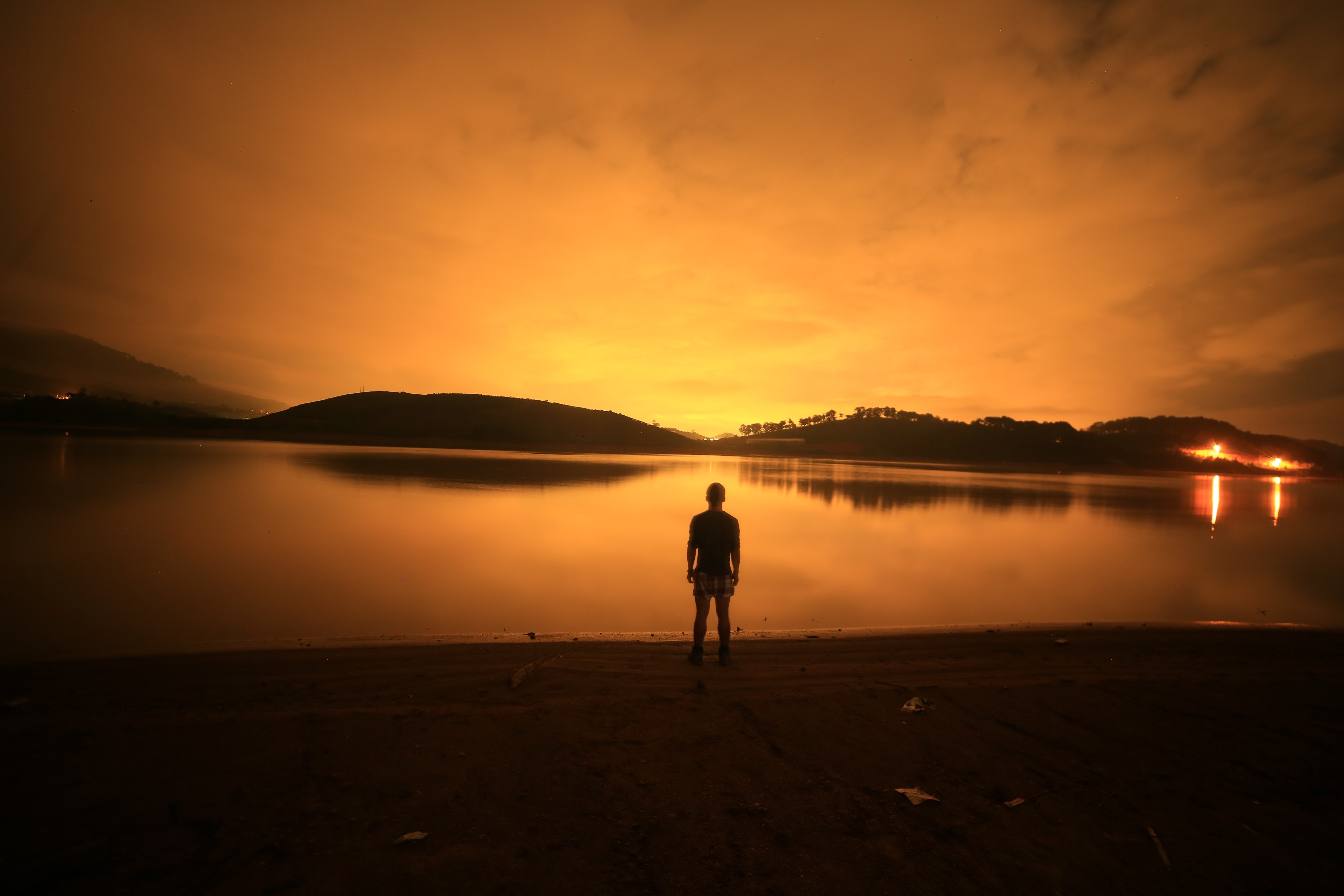 Cay co don o Da Lat anh 7