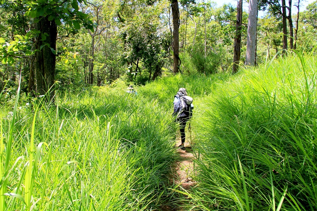 Cung trekking dep nhat Viet Nam anh 14