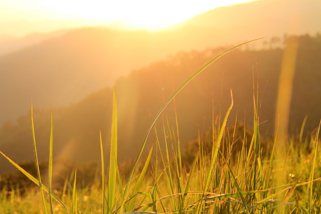 Cung trekking dep nhat Viet Nam anh 8