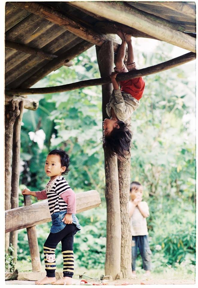 Y Tý mùa lúa chín ảnh 11 Y Ty mua lua chin anh 11