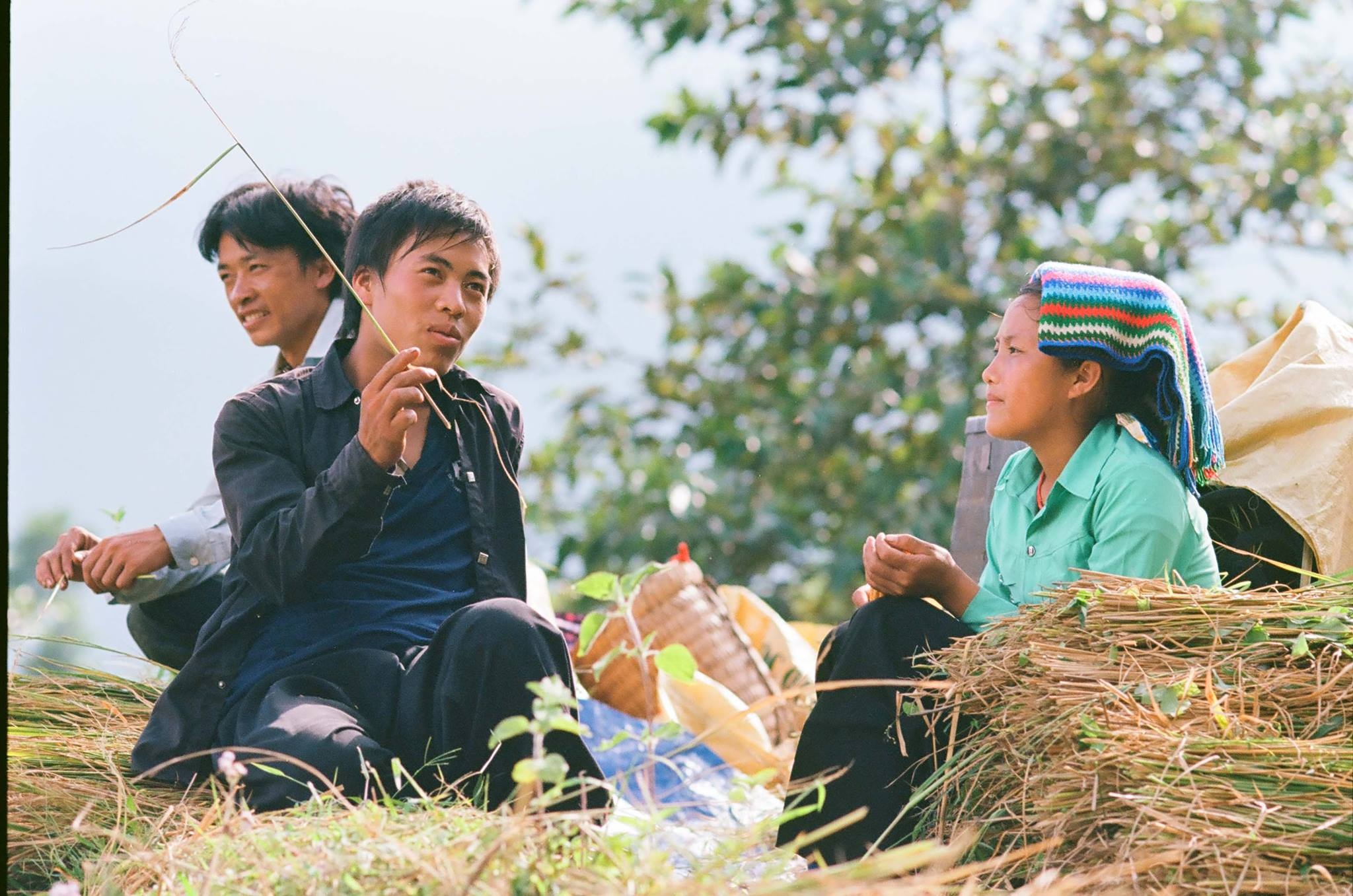 Y Tý mùa lúa chín ảnh 12 Y Ty mua lua chin anh 12