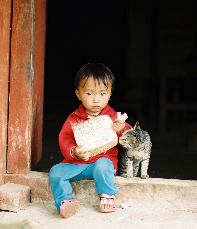 Y Tý mùa lúa chín ảnh 8 Y Ty mua lua chin anh 8