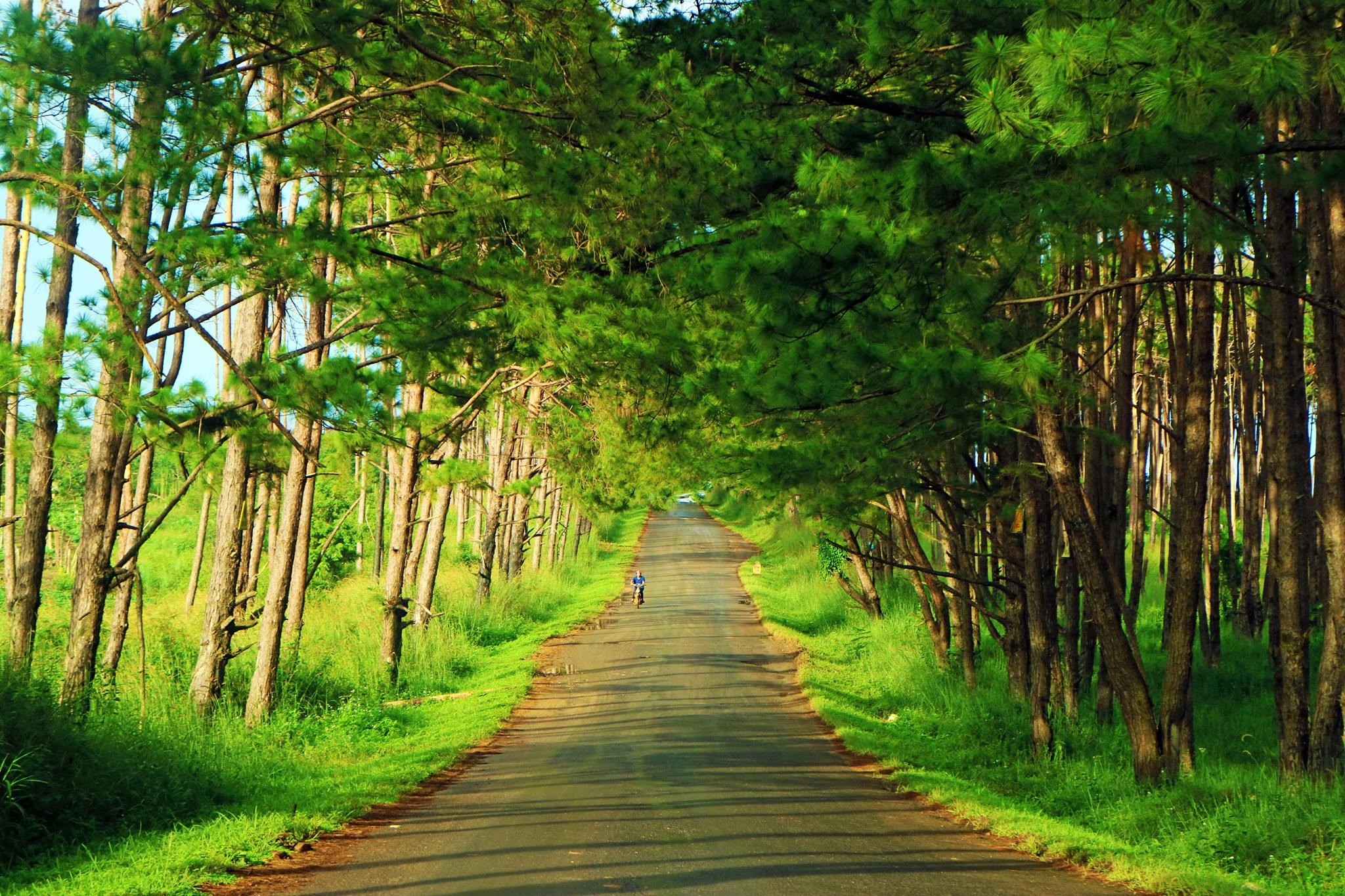 Cung đường phượt Sài Gòn Buôn Mê Thuột ảnh 3 Cung duong phuot Sai Gon Buon Me Thuot anh 3
