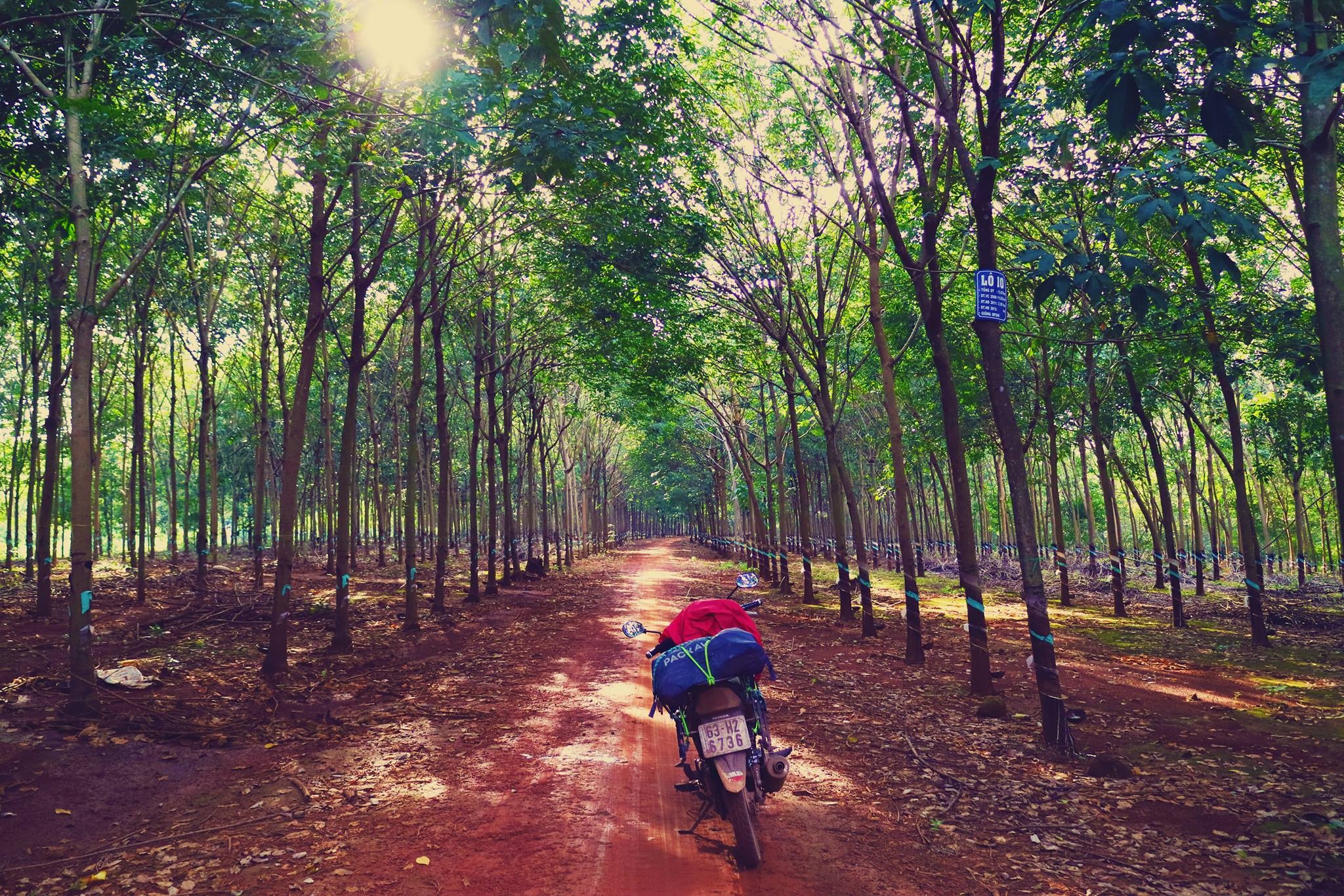 Cung đường phượt Sài Gòn Buôn Mê Thuột ảnh 2 Cung duong phuot Sai Gon Buon Me Thuot anh 2