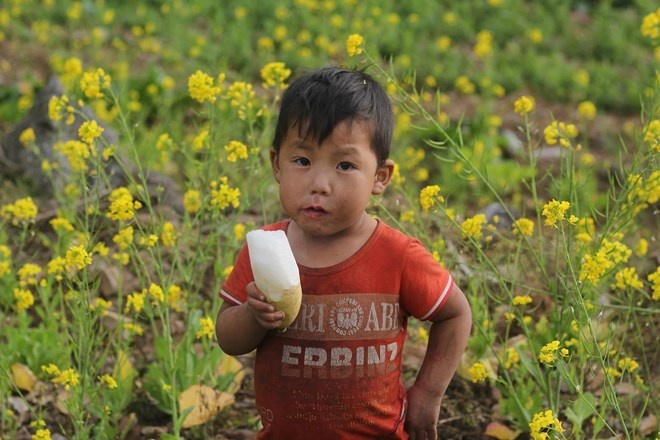 'Tho dia' tiet lo bi quyet phuot Ha Giang mua tam giac mach hinh anh