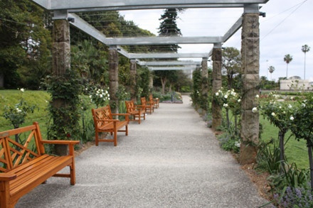 Vườn bách thảo Hoàng gia Sydney ảnh 12 Vuon bach thao Hoang gia Sydney anh 12