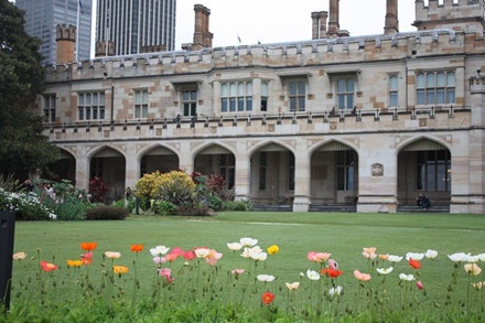 Vườn bách thảo Hoàng gia Sydney ảnh 13 Vuon bach thao Hoang gia Sydney anh 13