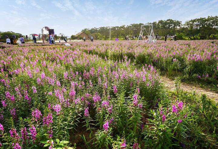 Địa điểm chụp ảnh cưới giữa Hà Nội ảnh 9 Dia diem chup anh cuoi giua Ha Noi anh 9