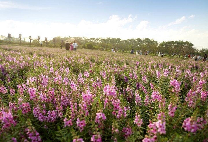 Địa điểm chụp ảnh cưới giữa Hà Nội ảnh 2 Dia diem chup anh cuoi giua Ha Noi anh 2