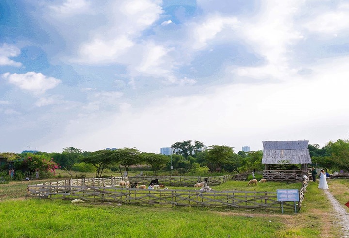 Địa điểm chụp ảnh cưới giữa Hà Nội ảnh 4 Dia diem chup anh cuoi giua Ha Noi anh 4