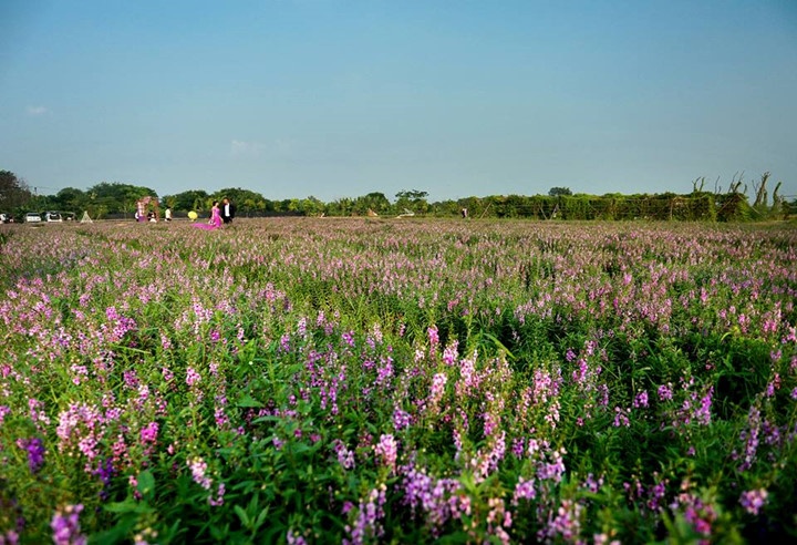 Địa điểm chụp ảnh cưới giữa Hà Nội ảnh 6 Dia diem chup anh cuoi giua Ha Noi anh 6