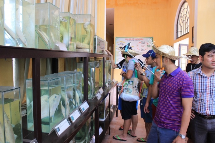 Tour miễn phí cho khách du lịch ảnh 1 Tour mien phi cho khach du lich anh 1