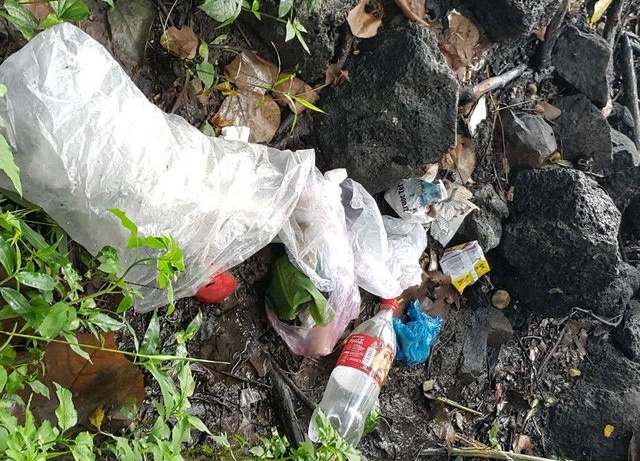 Dak Nong: Cum thac Dray Sap - Gia Long ngap tran rac thai hinh anh