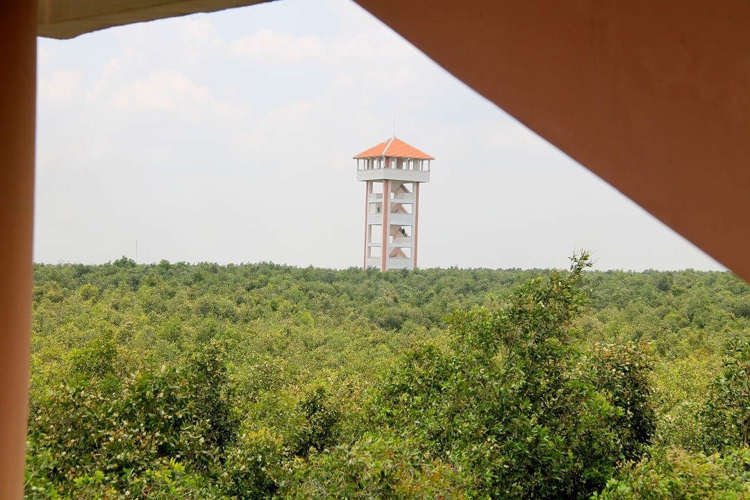 Rừng tràm Tân Lập mùa nước nổi ảnh 12 Rung tram Tan Lap mua nuoc noi anh 12