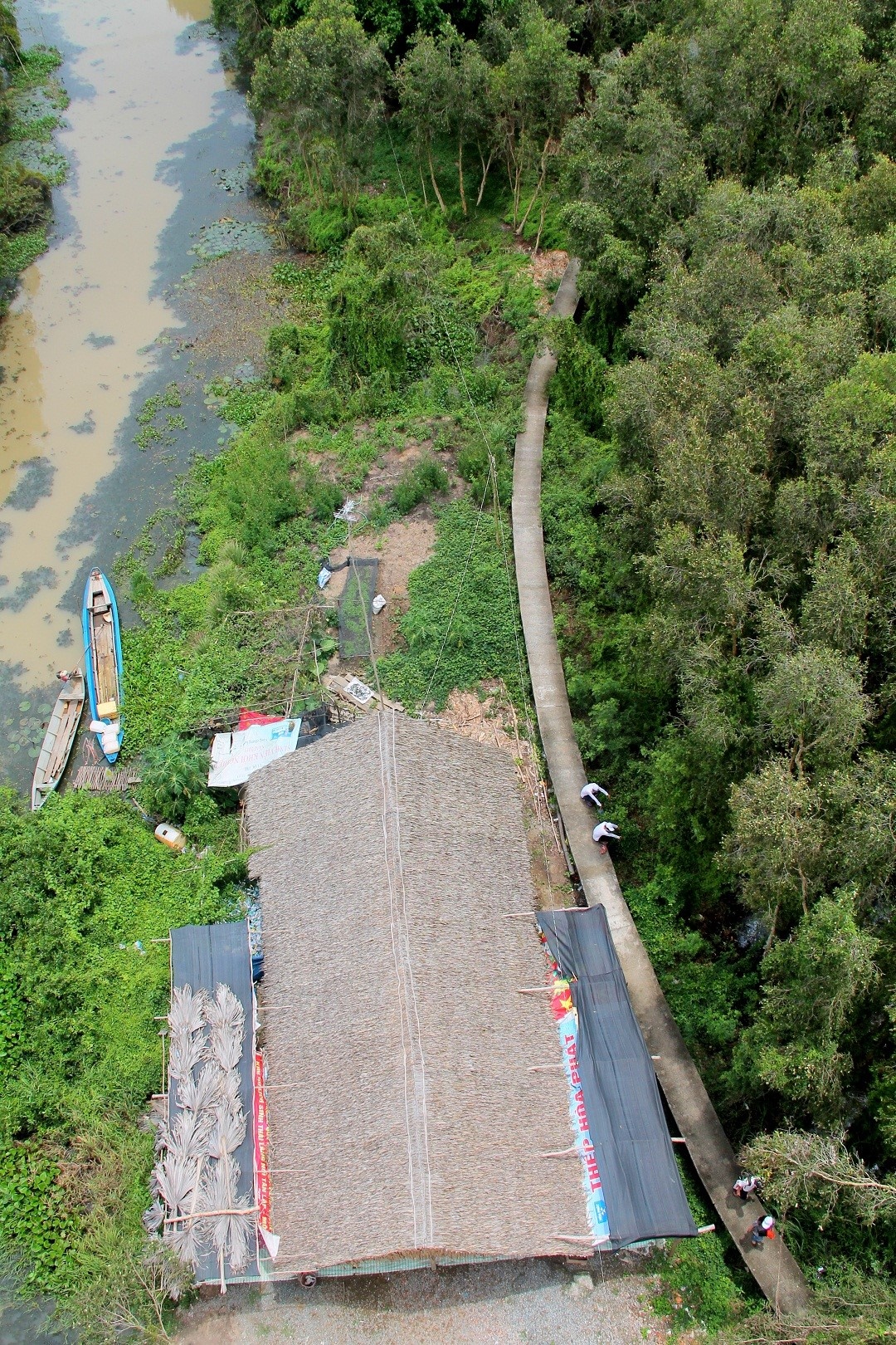 Rừng tràm Tân Lập mùa nước nổi ảnh 4 Rung tram Tan Lap mua nuoc noi anh 4