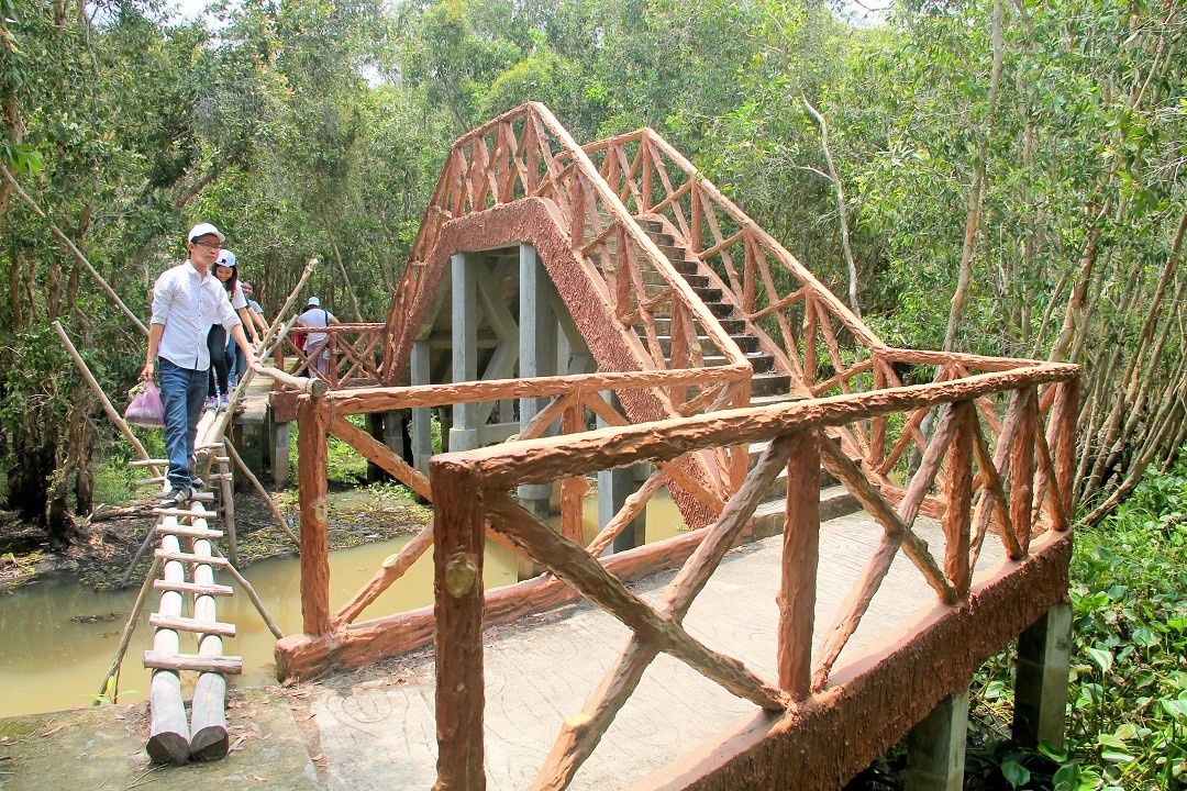 Rừng tràm Tân Lập mùa nước nổi ảnh 8 Rung tram Tan Lap mua nuoc noi anh 8