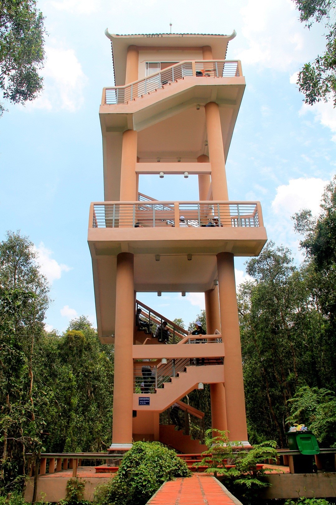 Rừng tràm Tân Lập mùa nước nổi ảnh 9 Rung tram Tan Lap mua nuoc noi anh 9