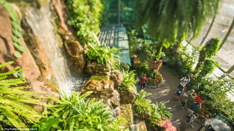 Sân bay Changi Singapore ảnh 2 San bay Changi Singapore anh 2