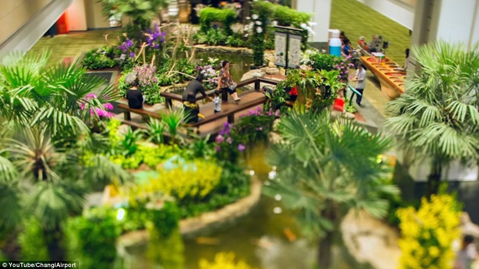 Sân bay Changi Singapore ảnh 4 San bay Changi Singapore anh 4