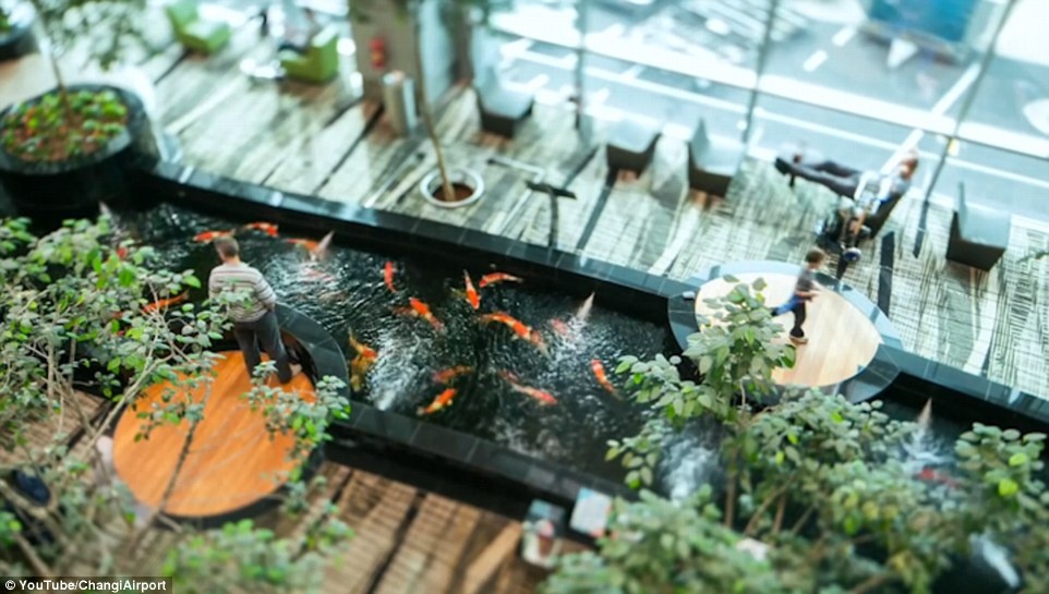 Sân bay Changi Singapore ảnh 5 San bay Changi Singapore anh 5