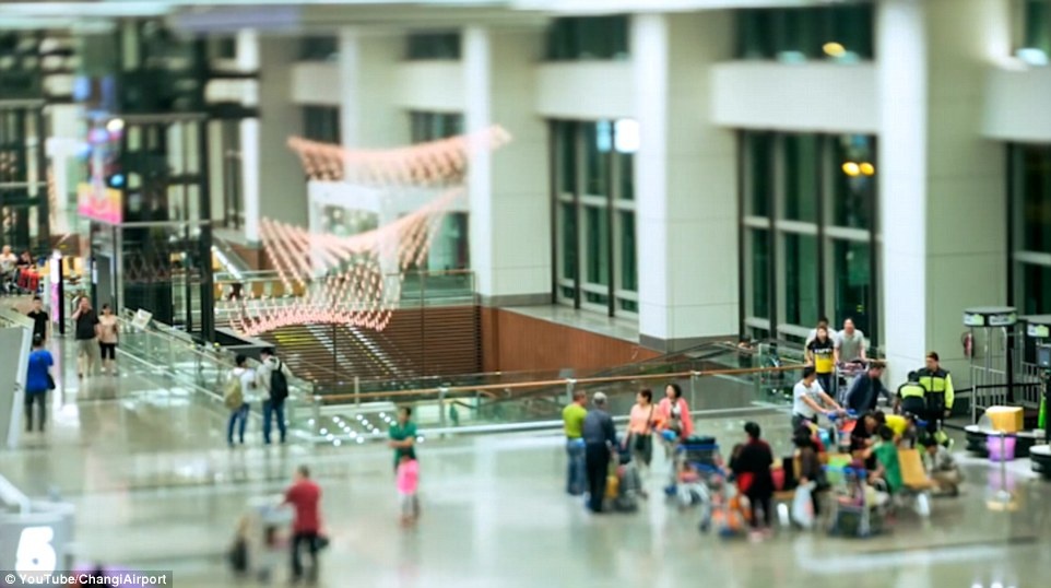 Sân bay Changi Singapore ảnh 7 San bay Changi Singapore anh 7