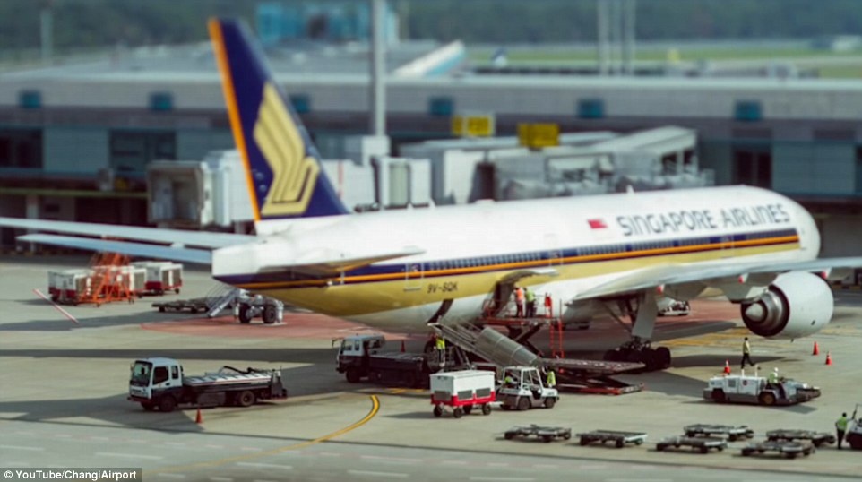 Sân bay Changi Singapore ảnh 8 San bay Changi Singapore anh 8