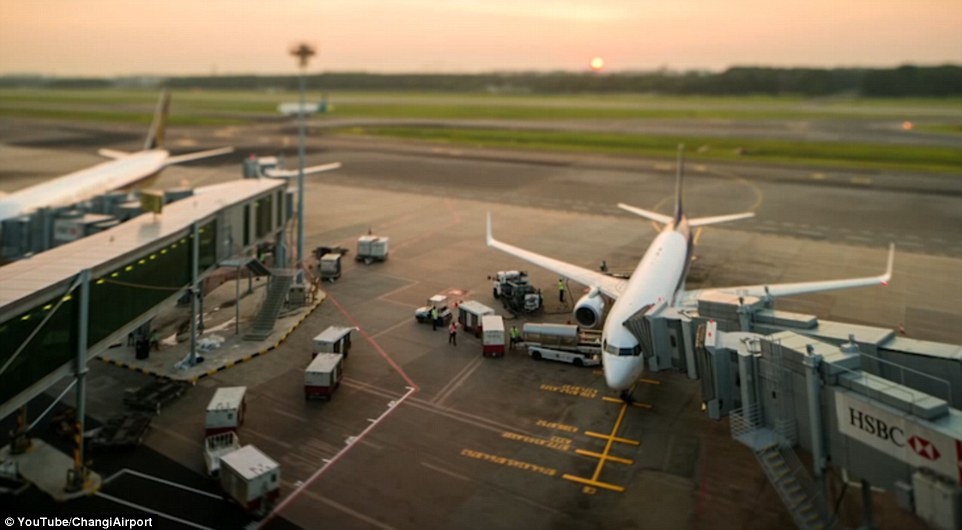 Sân bay Changi Singapore ảnh 9 San bay Changi Singapore anh 9