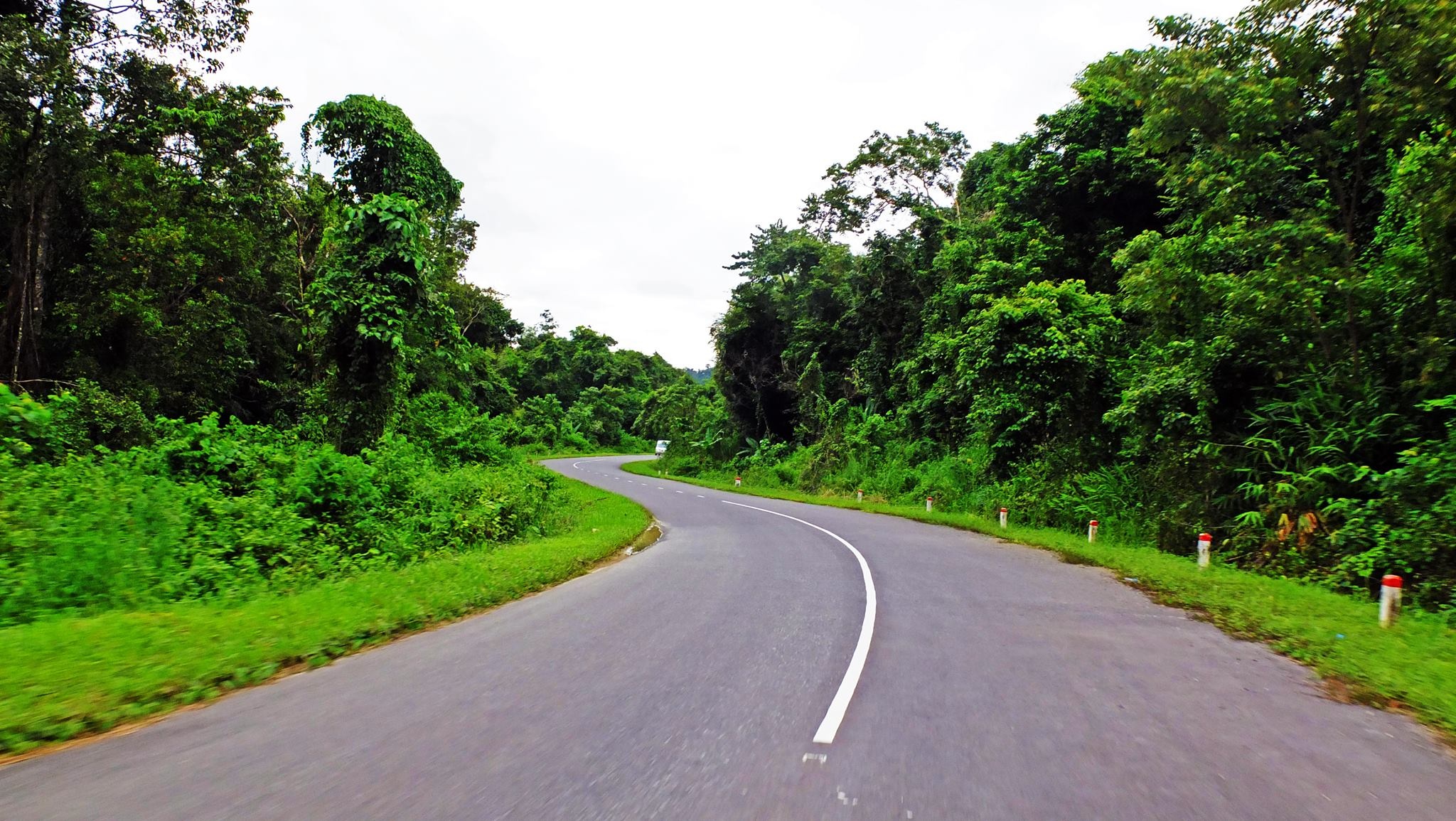 Cung duong rung Sai Gon Phan Thiet anh 5