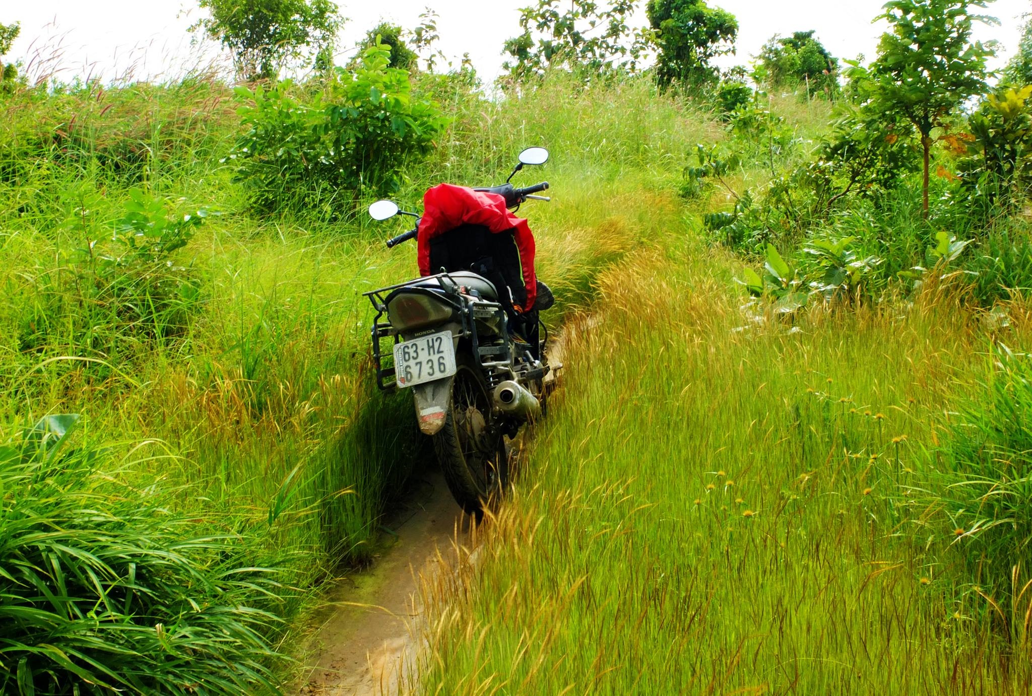Cung duong rung Sai Gon Phan Thiet anh 4
