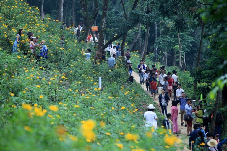 Len nui Ba vi ngam hoa da quy anh 5