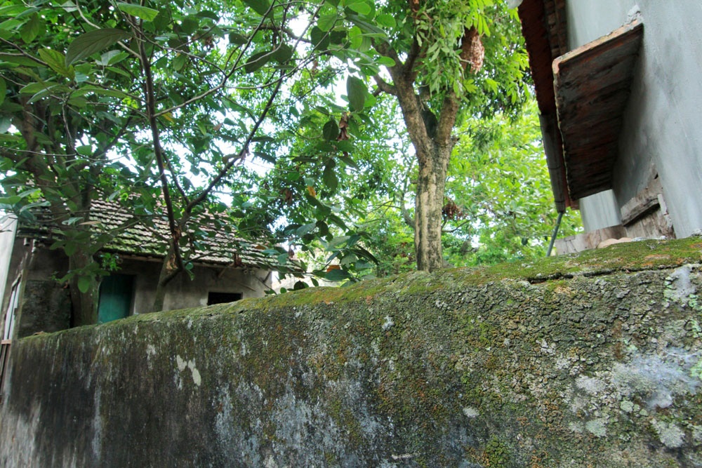 Làng cổ ở Hà Nội ảnh 11 Lang co o Ha Noi anh 11