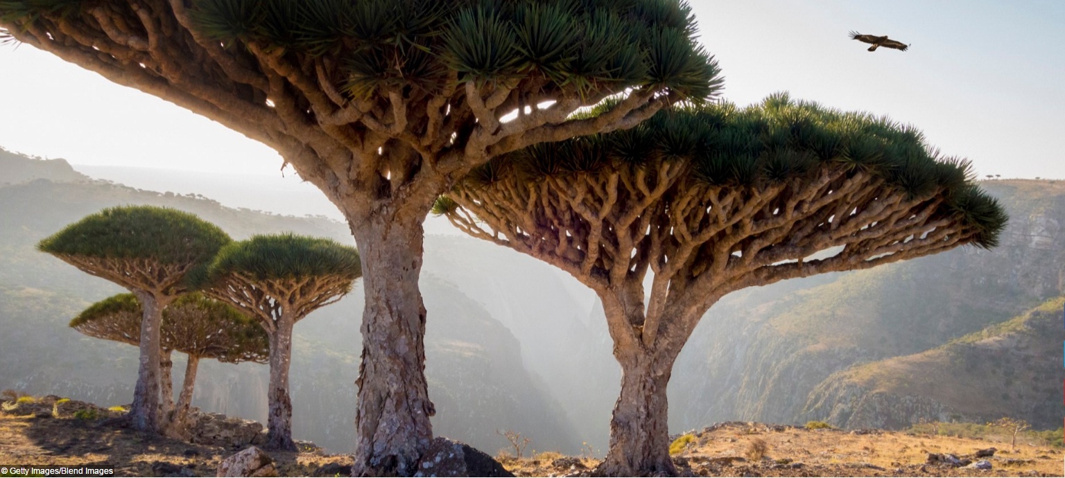 Nhung diem du lich noi tieng anh 12