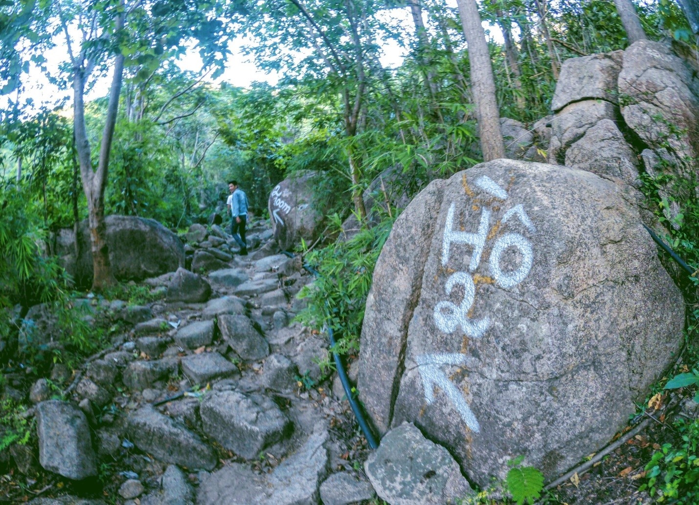 Phượt Suối Đá Vũng Tàu ảnh 6 Phuot Suoi Da Vung Tau anh 6