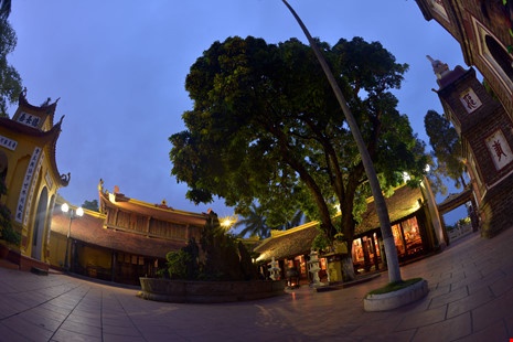 Chùa Trấn Quốc Hà Nội ảnh 15 Chua Tran Quoc Ha Noi anh 15