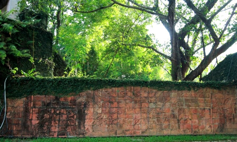 Thành cổ Sơn Tây Hà Nội ảnh 7 Thanh co Son Tay Ha Noi anh 7