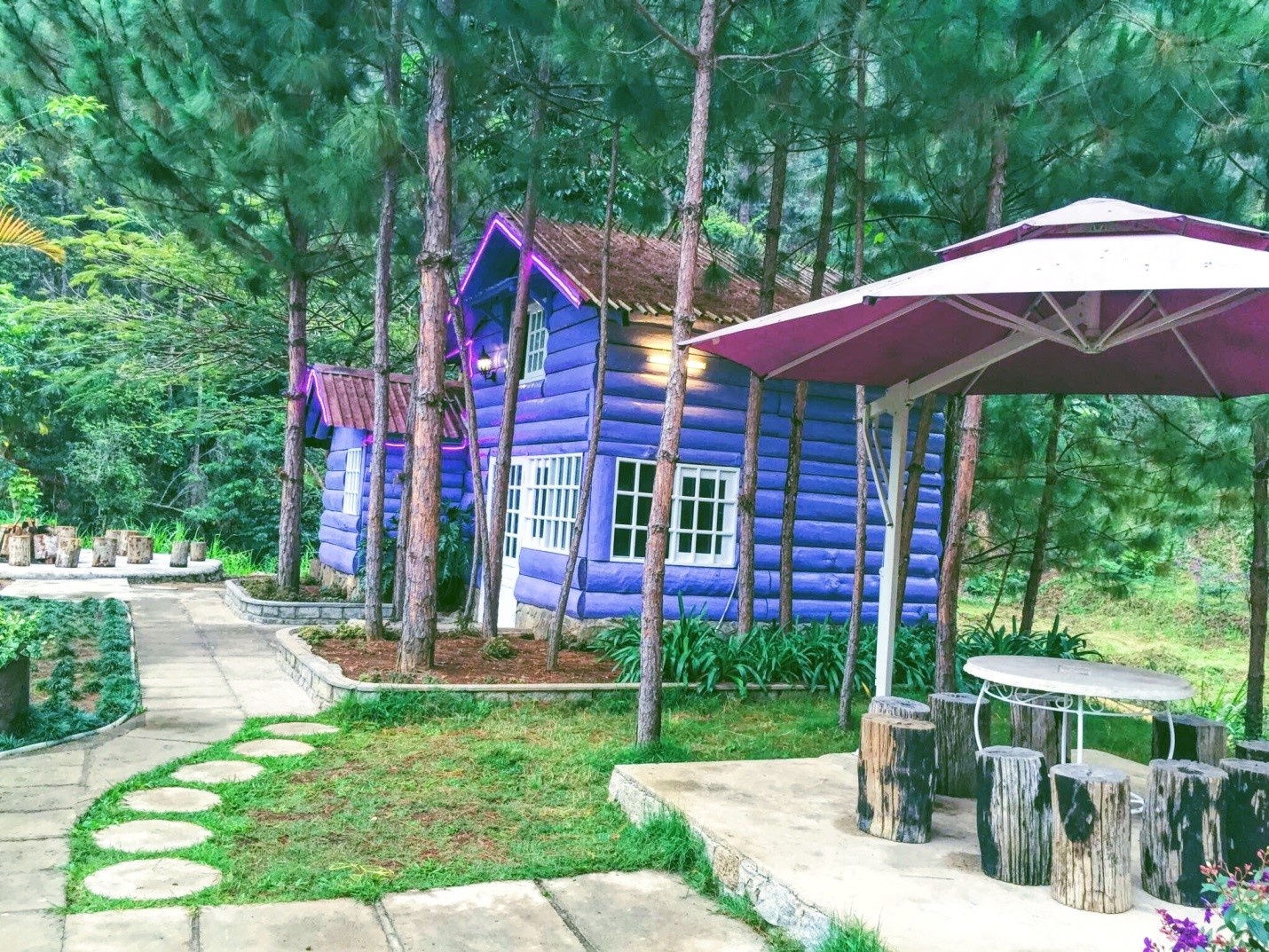 Ma Rừng Lữ Quán Đà Lạt ảnh 9 Ma Rung Lu Quan Da Lat anh 9