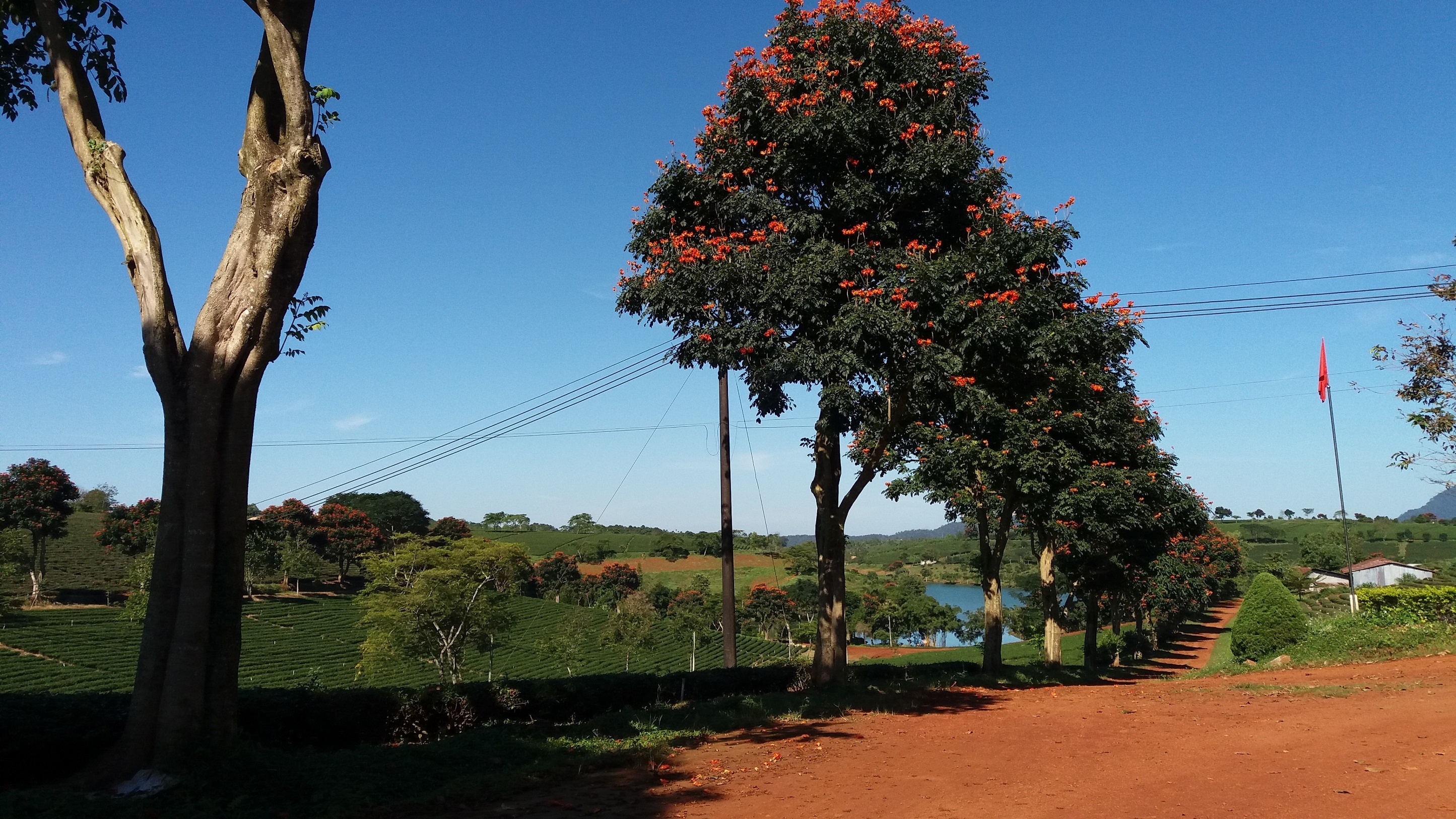 Tham quan B'Lao Bao Loc anh 4