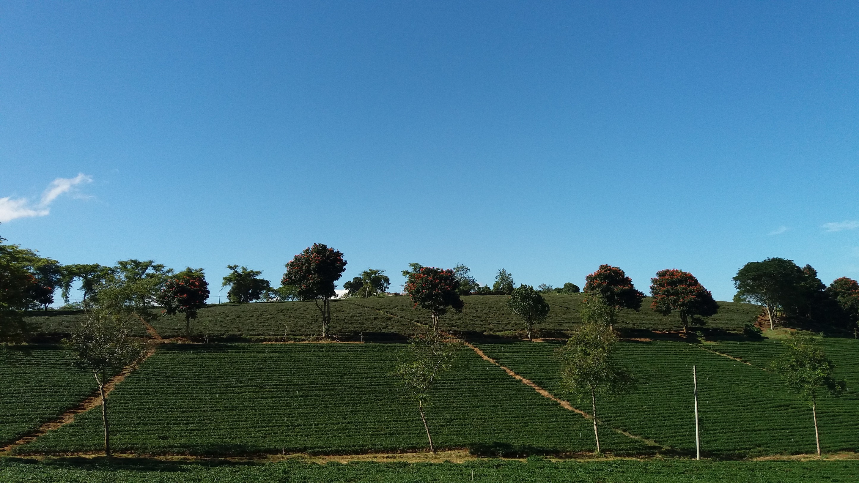 Tham quan B'Lao Bao Loc anh 7