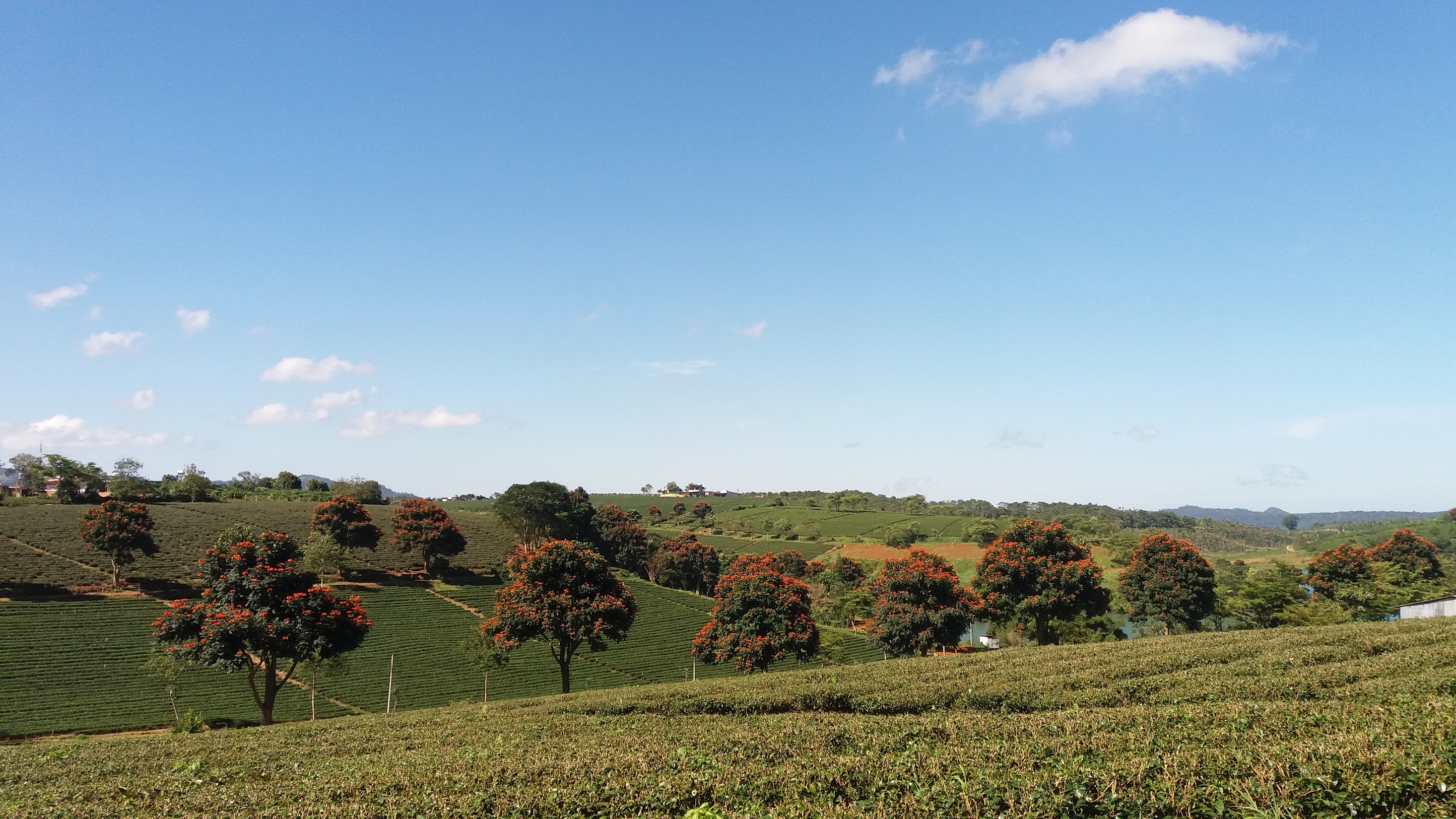 Tham quan B'Lao Bao Loc anh 9