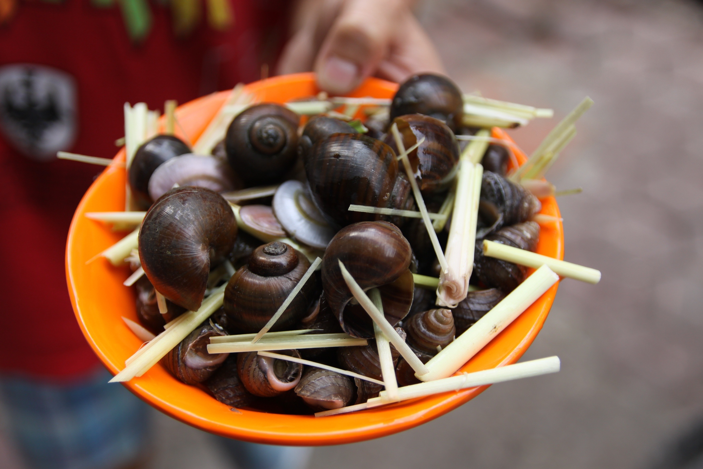 Buoi chieu no ne o thien duong am thuc pho Chua Lang hinh anh