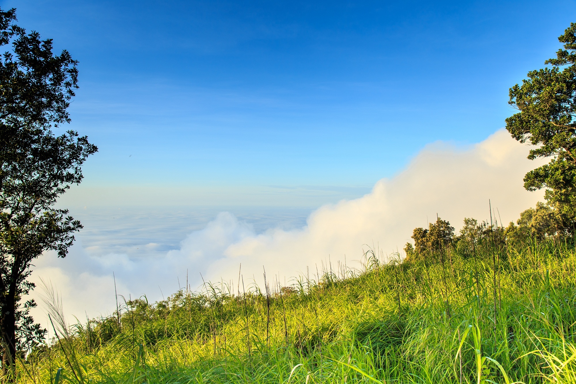 Đón bình minh ở núi Bà Đen ảnh 3 Don binh minh o nui Ba Den anh 3