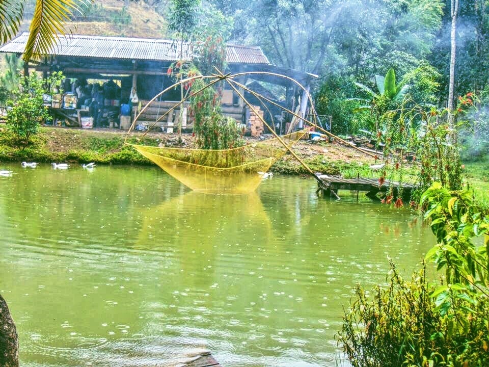 Ma Rung Lu Quan - trai tim giua nui rung Da Lat hinh anh