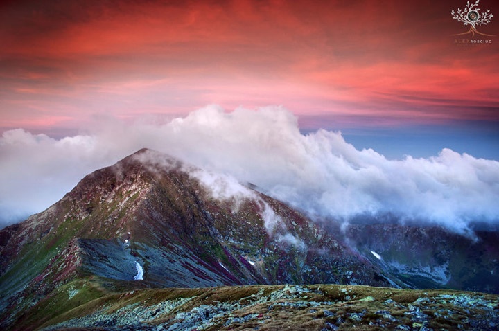 Phong canh mua thu Romania anh 12