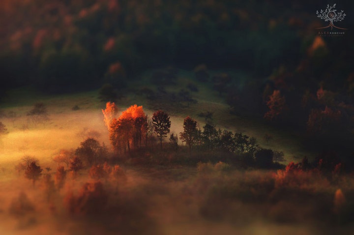 Phong canh mua thu Romania anh 4