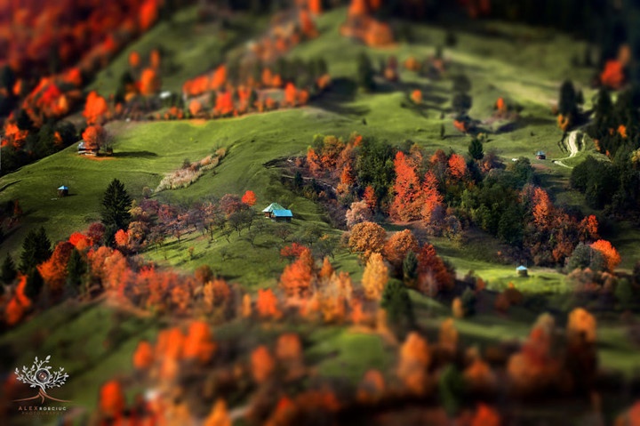 Phong canh mua thu Romania anh 9