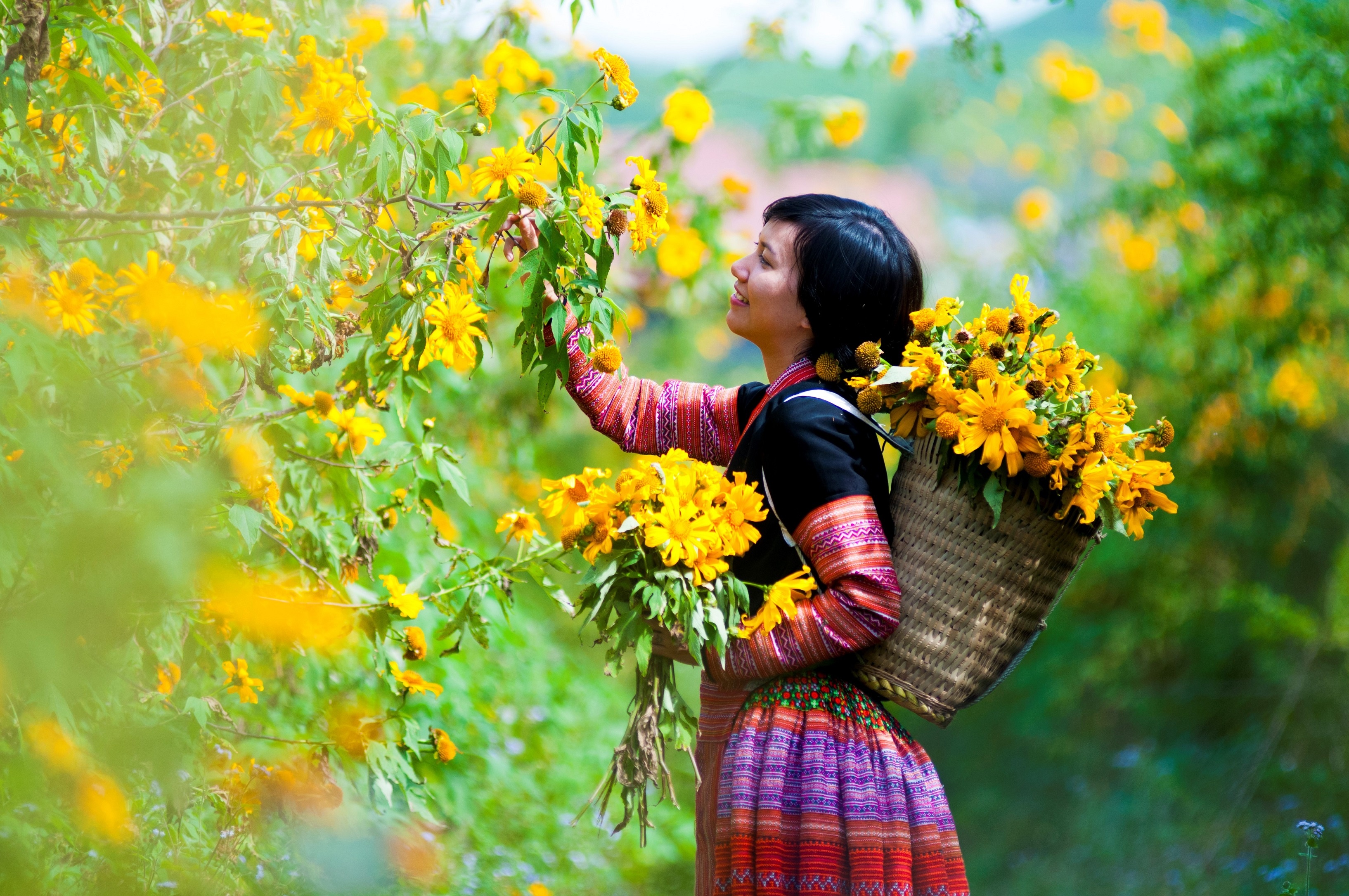 Huong sac da quy Moc Chau say dam dau dong hinh anh