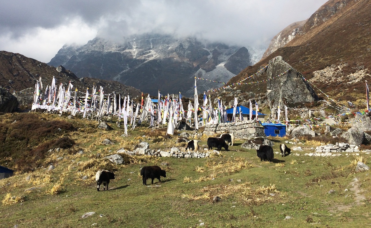 Thám hiểm dãy núi Hymalaya ảnh 9 Tham hiem day nui Hymalaya anh 9